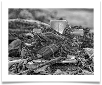 Boat 03  - Carol Sparkes